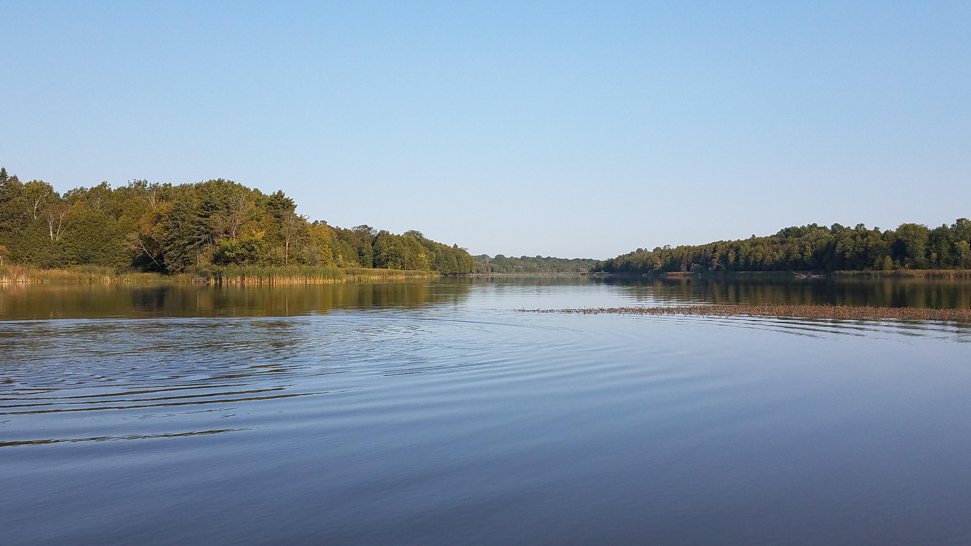 Picture of the Forestville Millpond