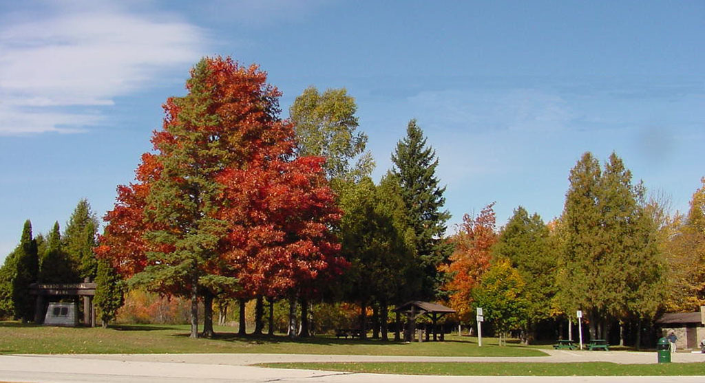 Tornado Memorial Park without wires