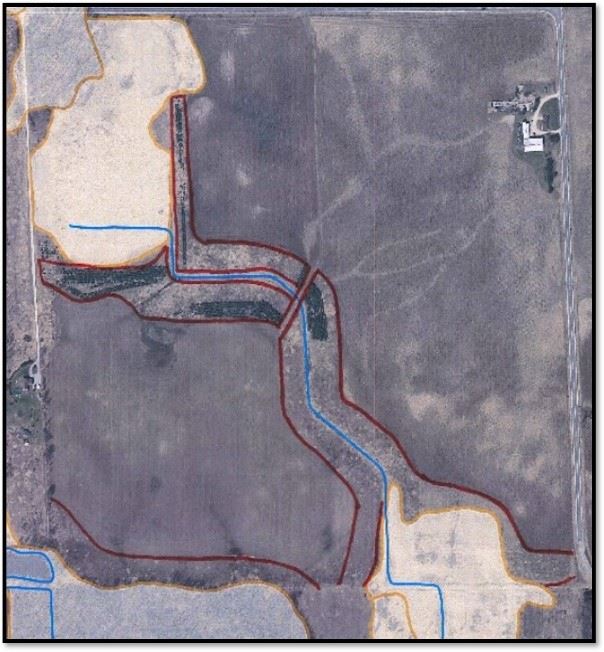 Riparian Buffer Photo 2