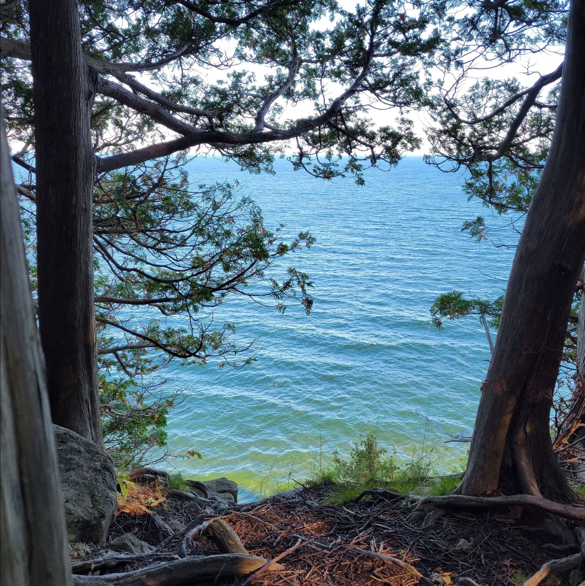 20250926_090723 - Copy